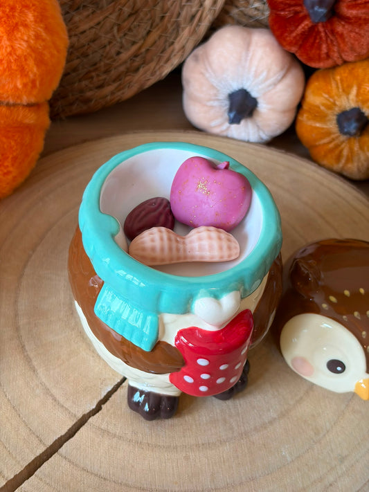 🎁 Pack Otoño Quemador Cozy Owl+ WaxMelt otoño