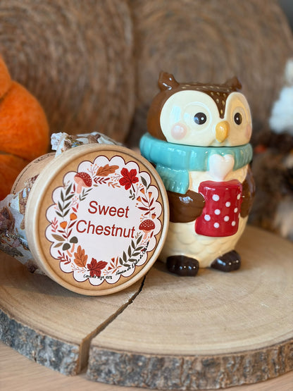 🎁 Pack Otoño Quemador Cozy Owl+ WaxMelt otoño