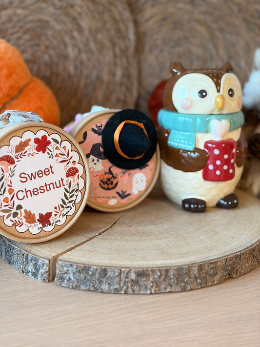 🎁 Pack Otoño Quemador Cozy Owl+ WaxMelt otoño