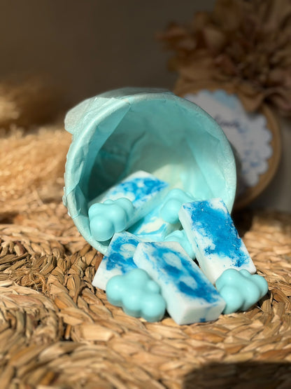 🎁 Pack Quemador Home + WaxMelt
