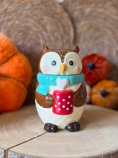 Cozy Owl